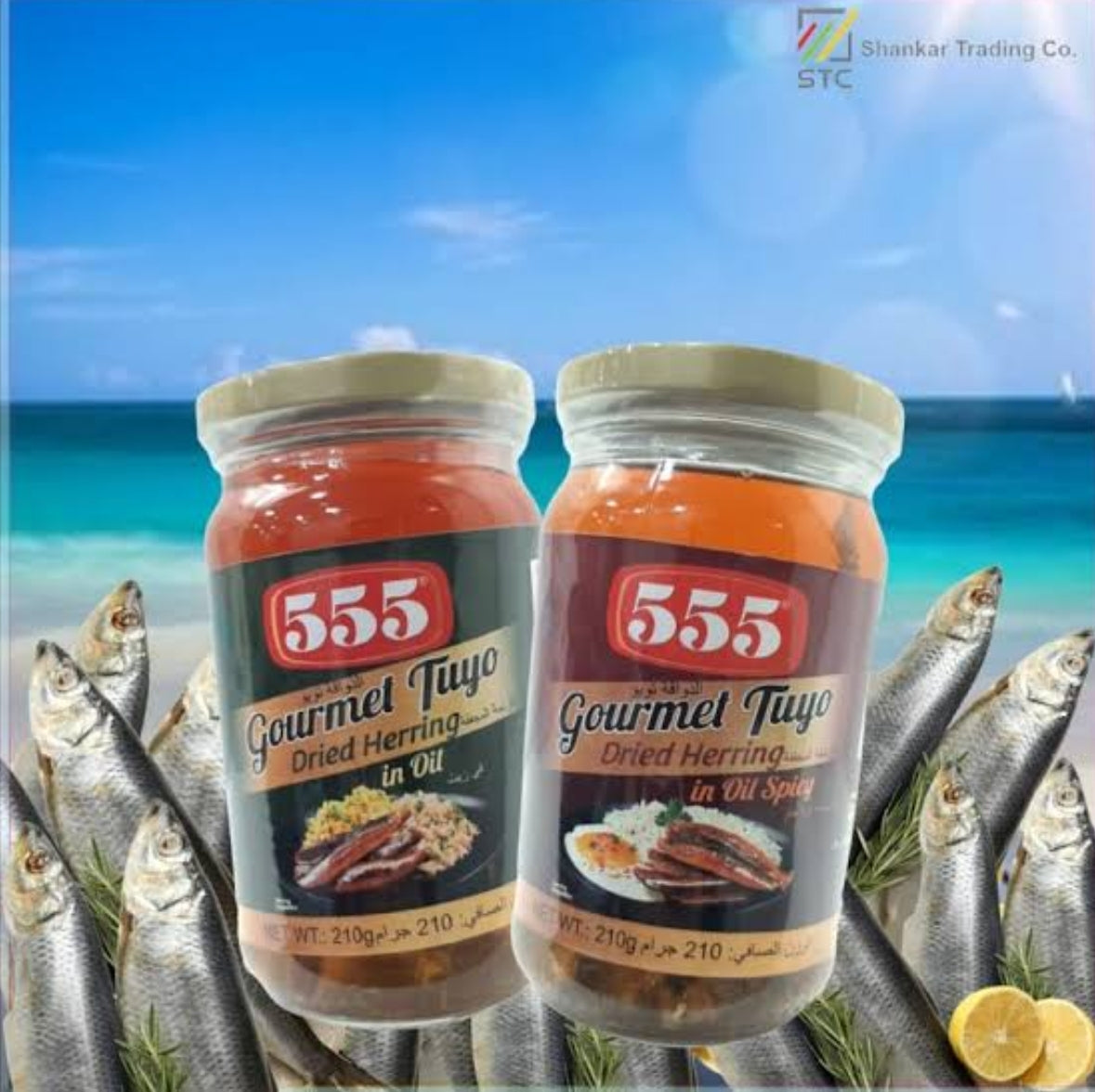 555 Spanish Sardines in Corn Oil 220g