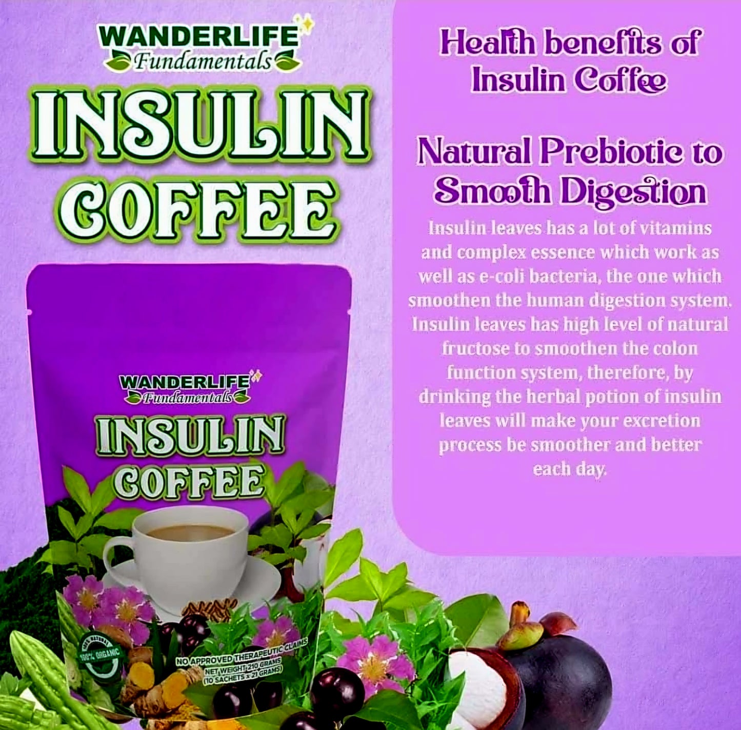 Wanderlife INSULIN Coffee 21g×10sachets