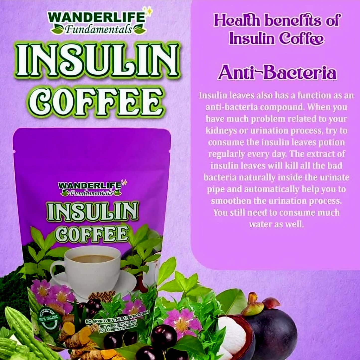 Wanderlife INSULIN Coffee 21g×10sachets