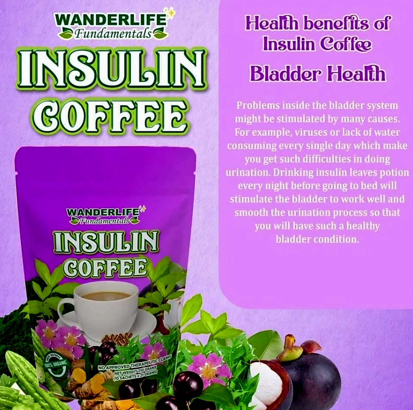 Wanderlife INSULIN Coffee 21g×10sachets
