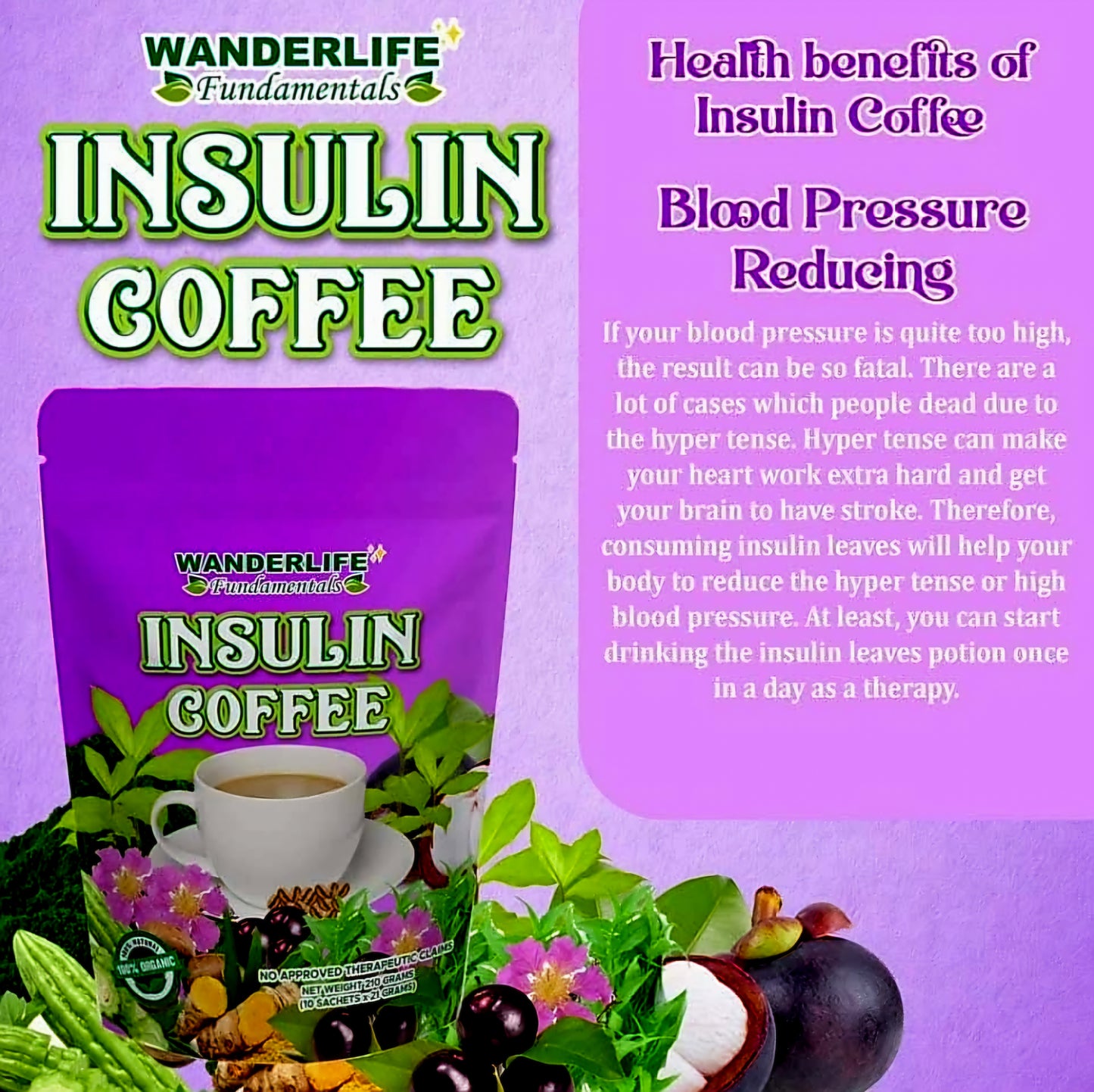 Wanderlife INSULIN Coffee 21g×10sachets