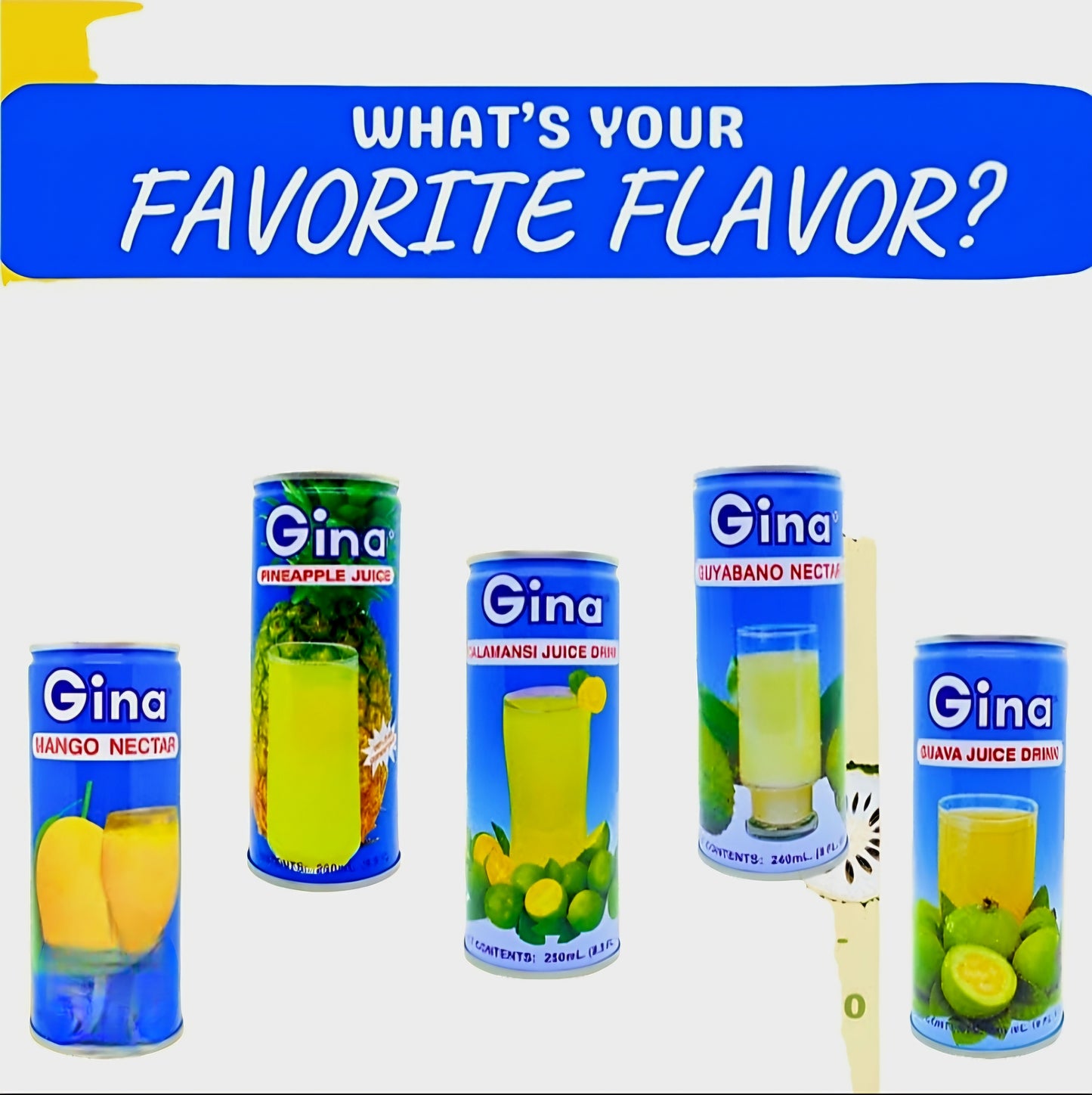 Gina Fruit Drink PINEAPPLE 250ml