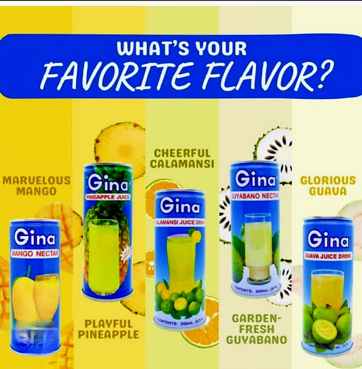Gina Fruit Drink PINEAPPLE 250ml
