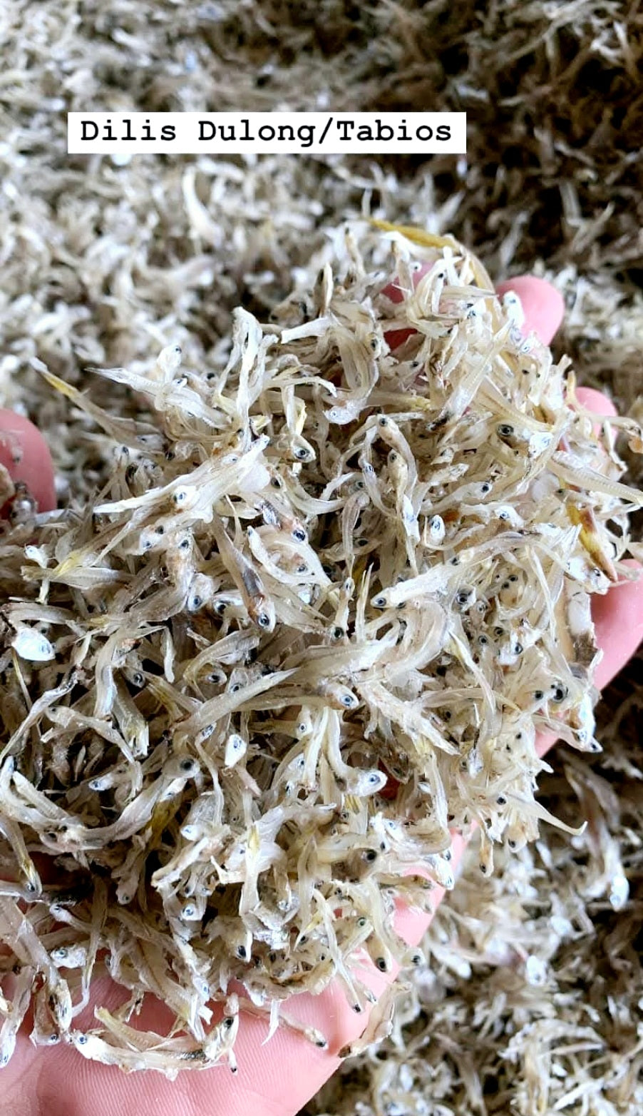 Dried TABIOS 100g (Sinarapan) (NON-FROZEN)