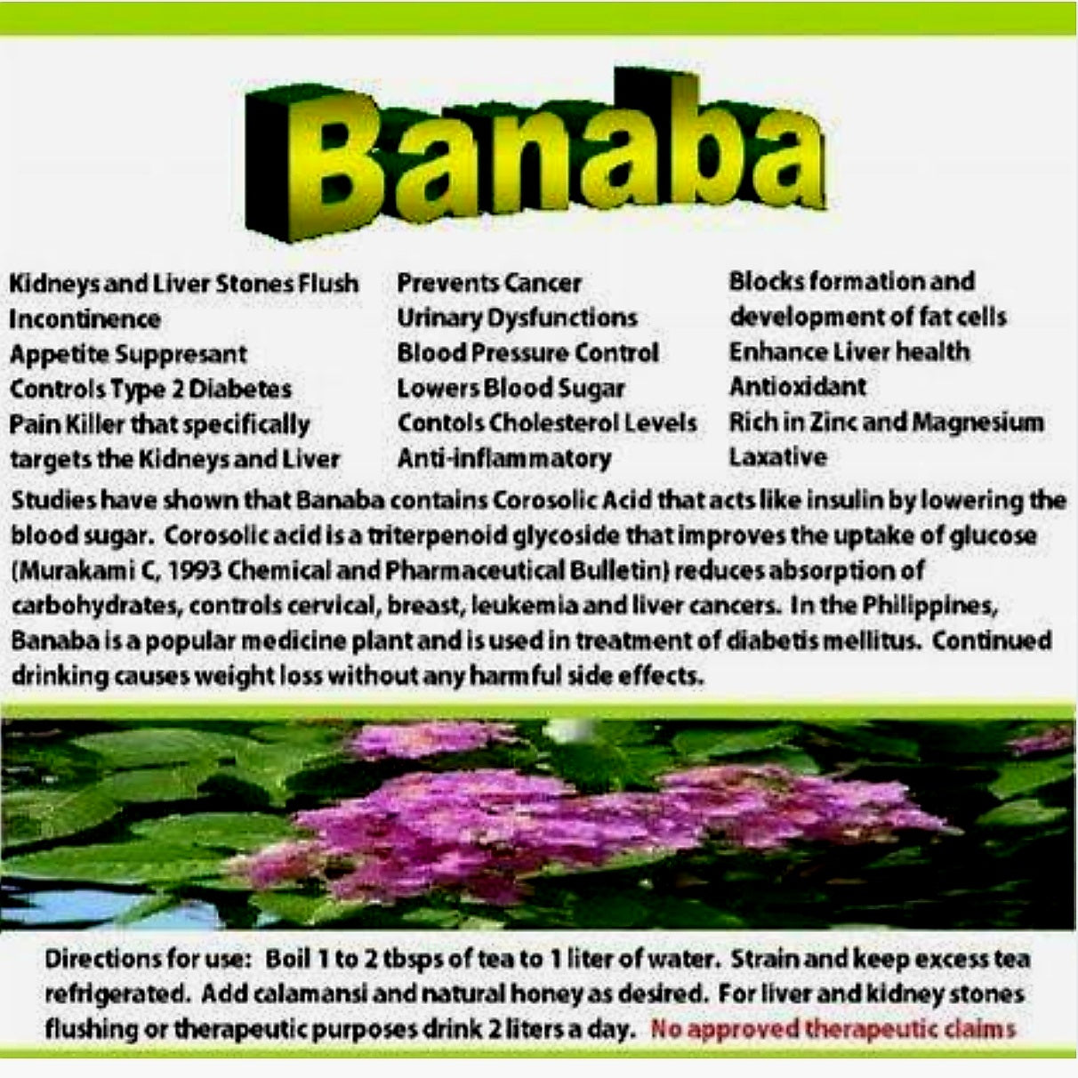 ‼️PROMO‼️Golden Spoon BANABA TEA 24g × 12 Teabags BBD: 28.FEB.2026