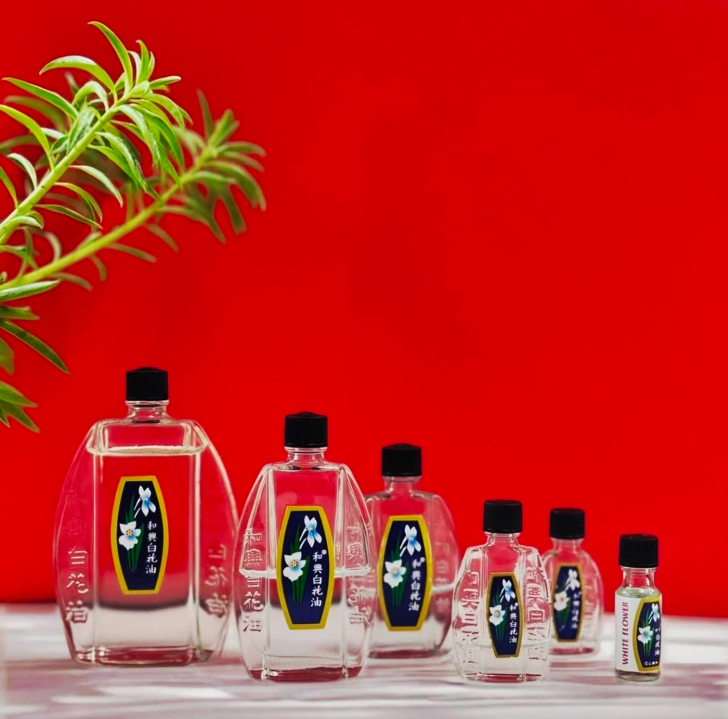 WHITE FLOWER Embrocation External Analgesic Balam Oil 1.5ml MINI (NO.5)