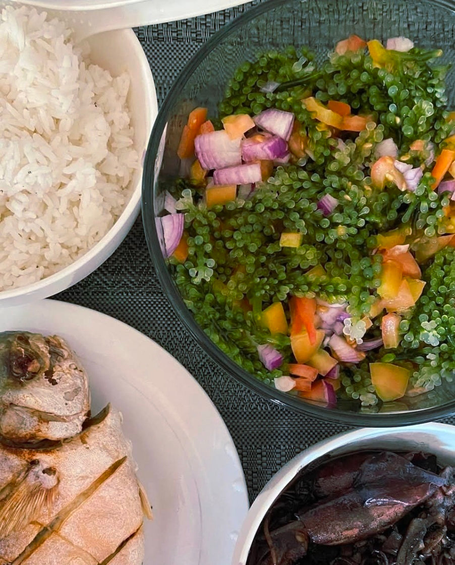 Premium Organic SEAGRAPES / LATO 100g (20-pieces) BULK PACK