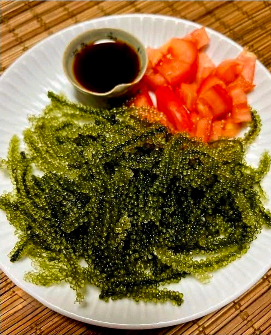 PREMIUM ORGANIC SEAGRAPES (LATO) 100G