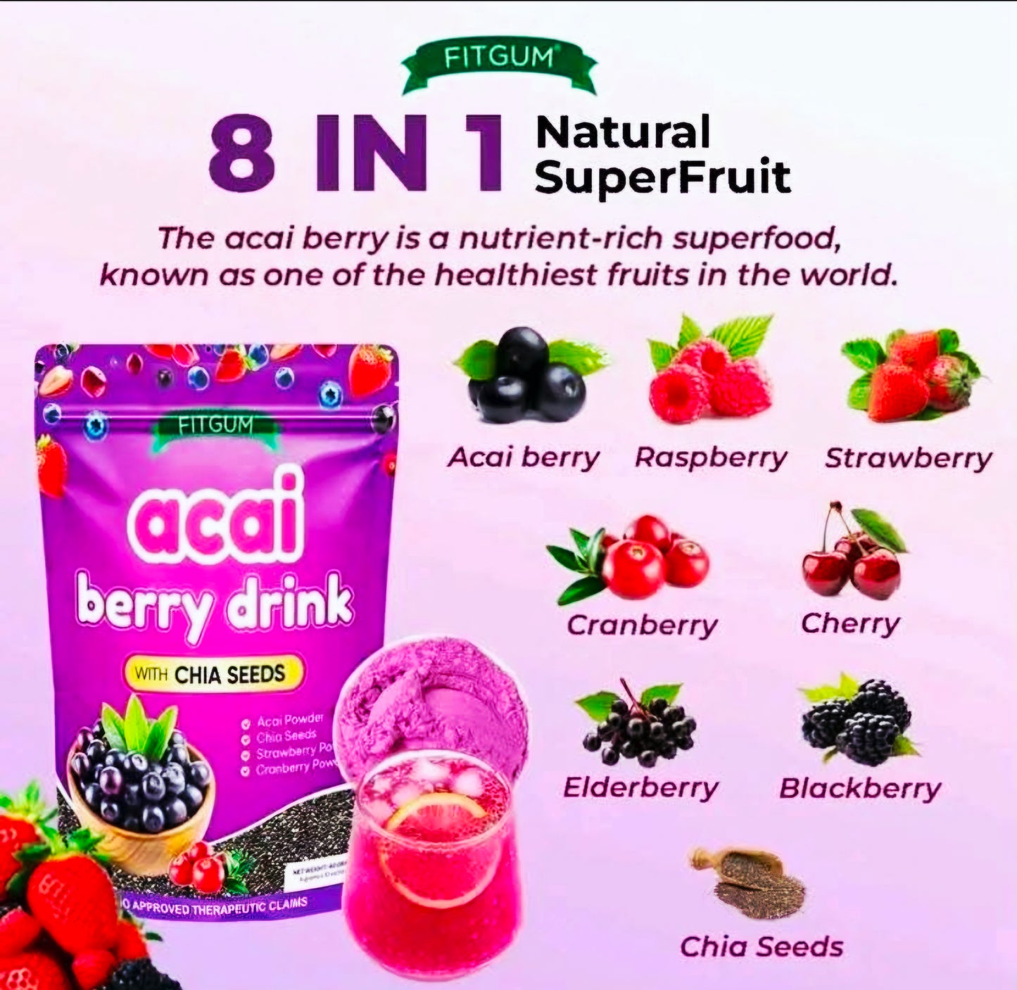 FITGUM ACAI BERRY DRINK W/CHIA 4Gx10