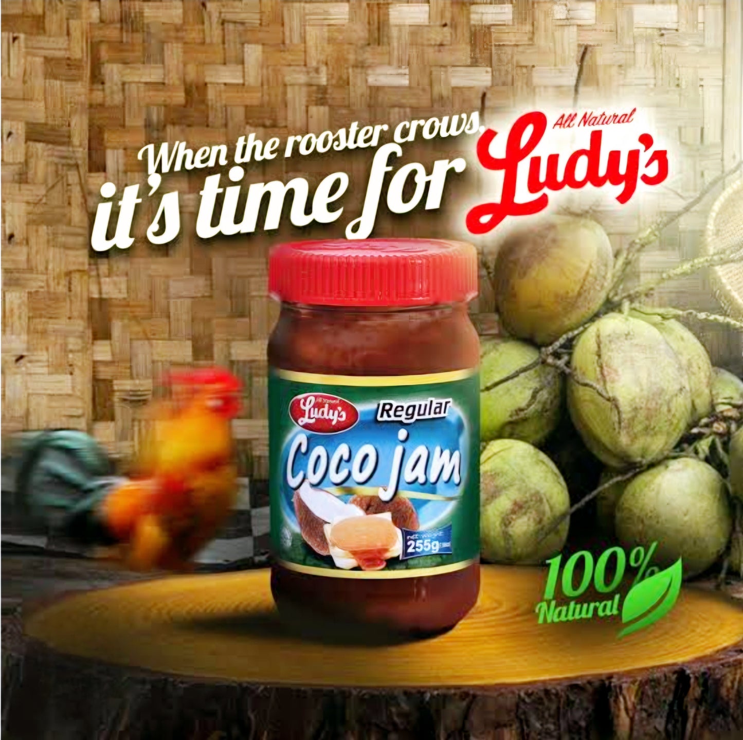 Ludy's COCO JAM Regular 340g