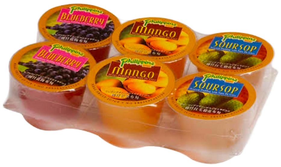 PHILIPPINE BRAND ASSORTED FRUIT PUDDING 100G×6 (MANGO, GUYABANO, BLUEBERRY)