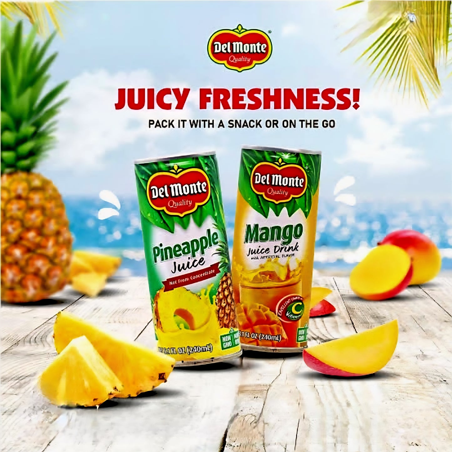 Del Monte MANGO JUICE Drink 240ml