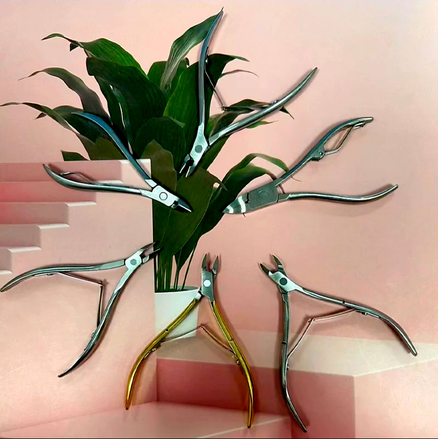 SOLINGEN Stainless Nipper K1-D5013 (SILVER)