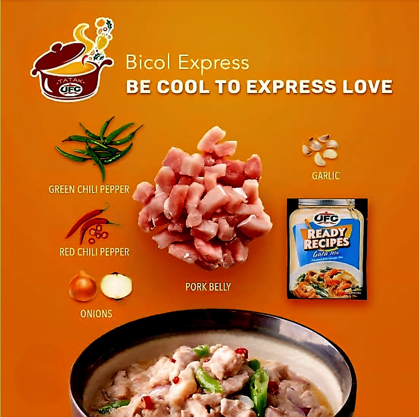 UFC Ready Recipe GATA MIX Powder 45g