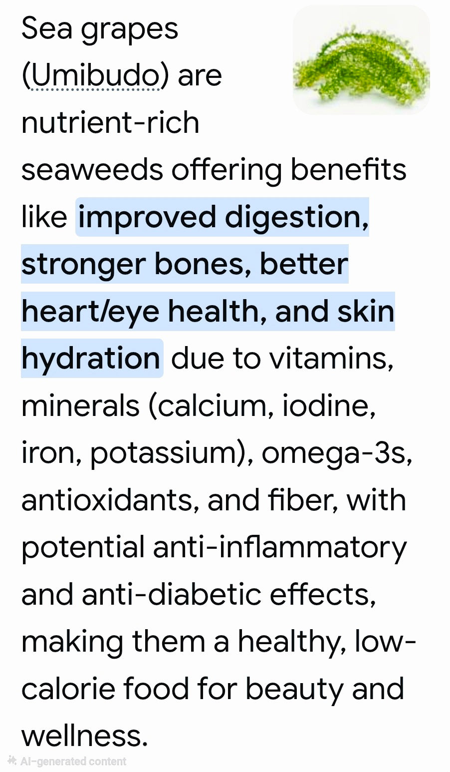 Premium Organic SEAGRAPES / LATO  100g (20-pieces) BULK PACK