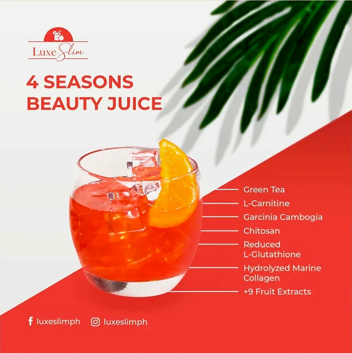 Luxe Slim 4-SEASONS BEAUTY Juice 21g × 8-sachets Herbal Drink Mix