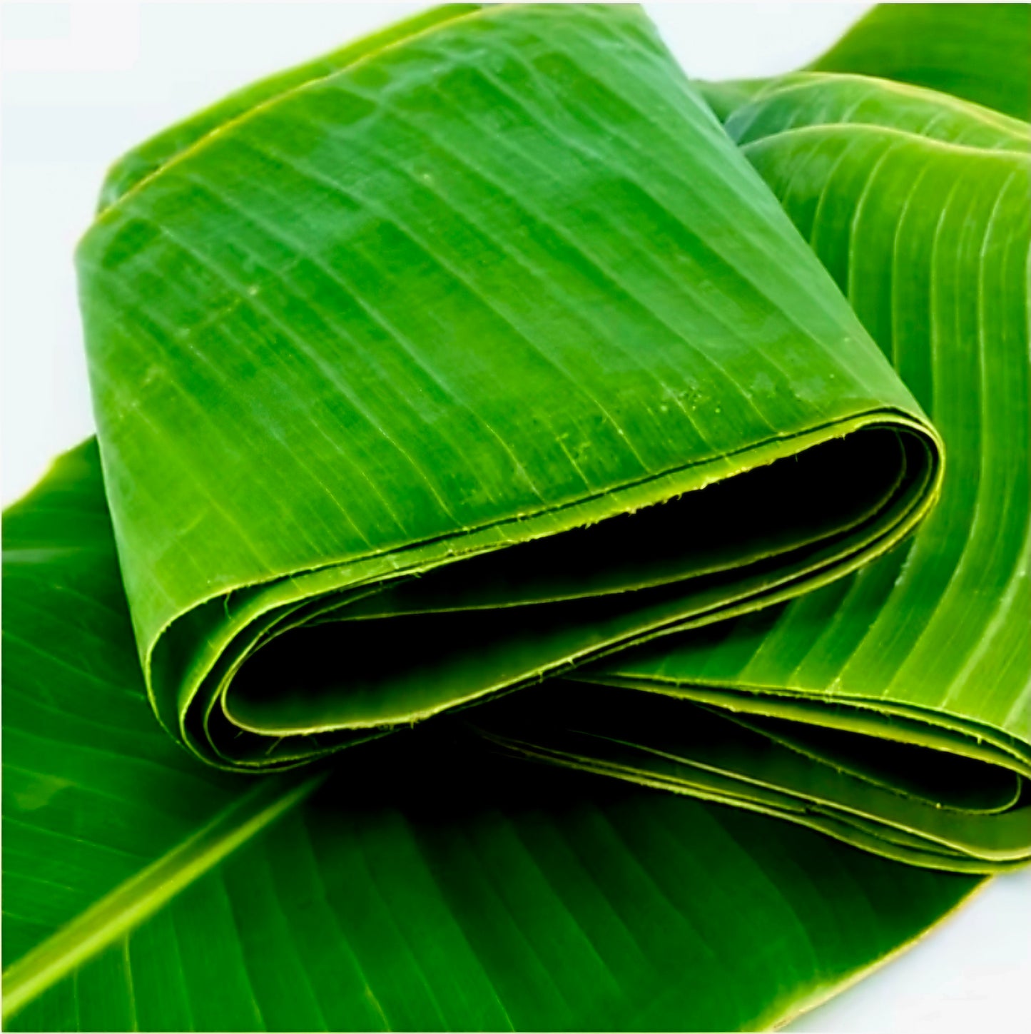 SUNNY FROZEN BANANA LEAVES 1-KILO