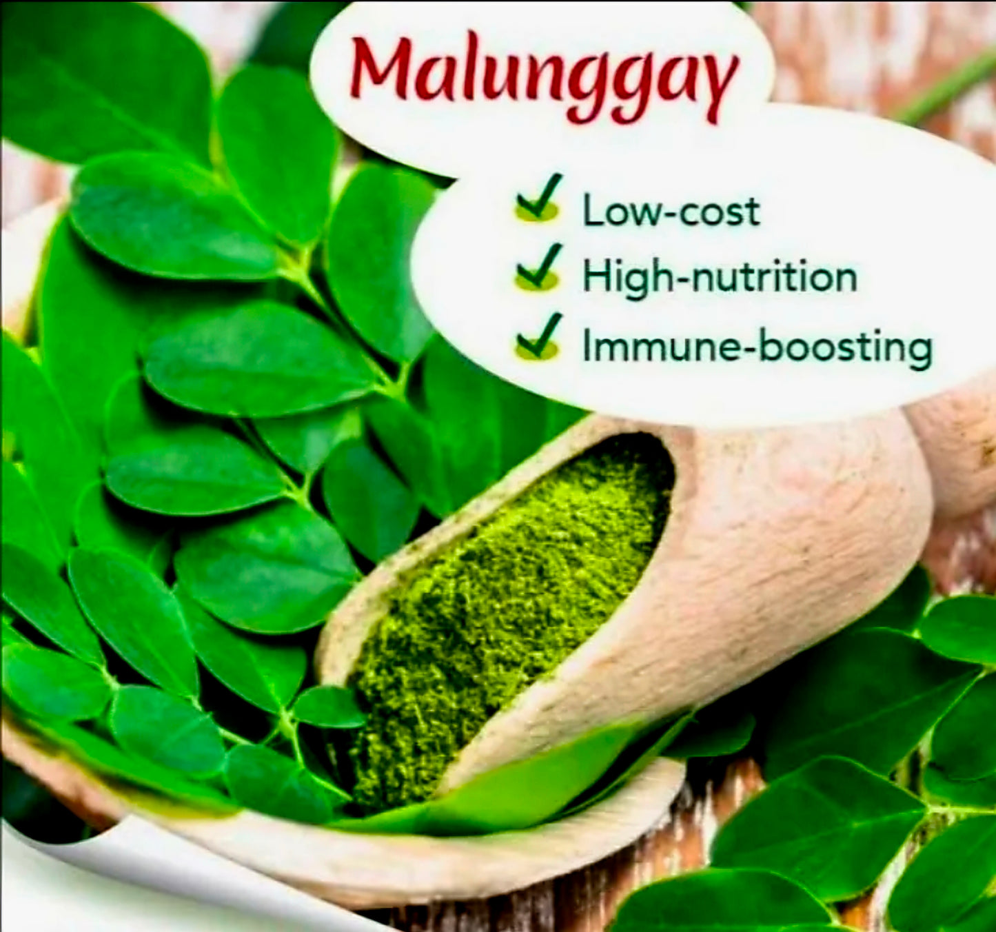 Mira's Nature's Goodness PURE MORINGA POWDER (Malunggay) 100g