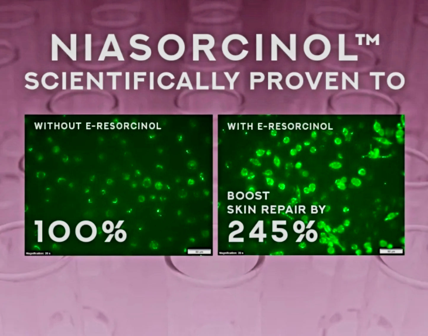 POND'S Bright Miracle Niasorcinol DAY CREAM SPF30 PA+++ 45g