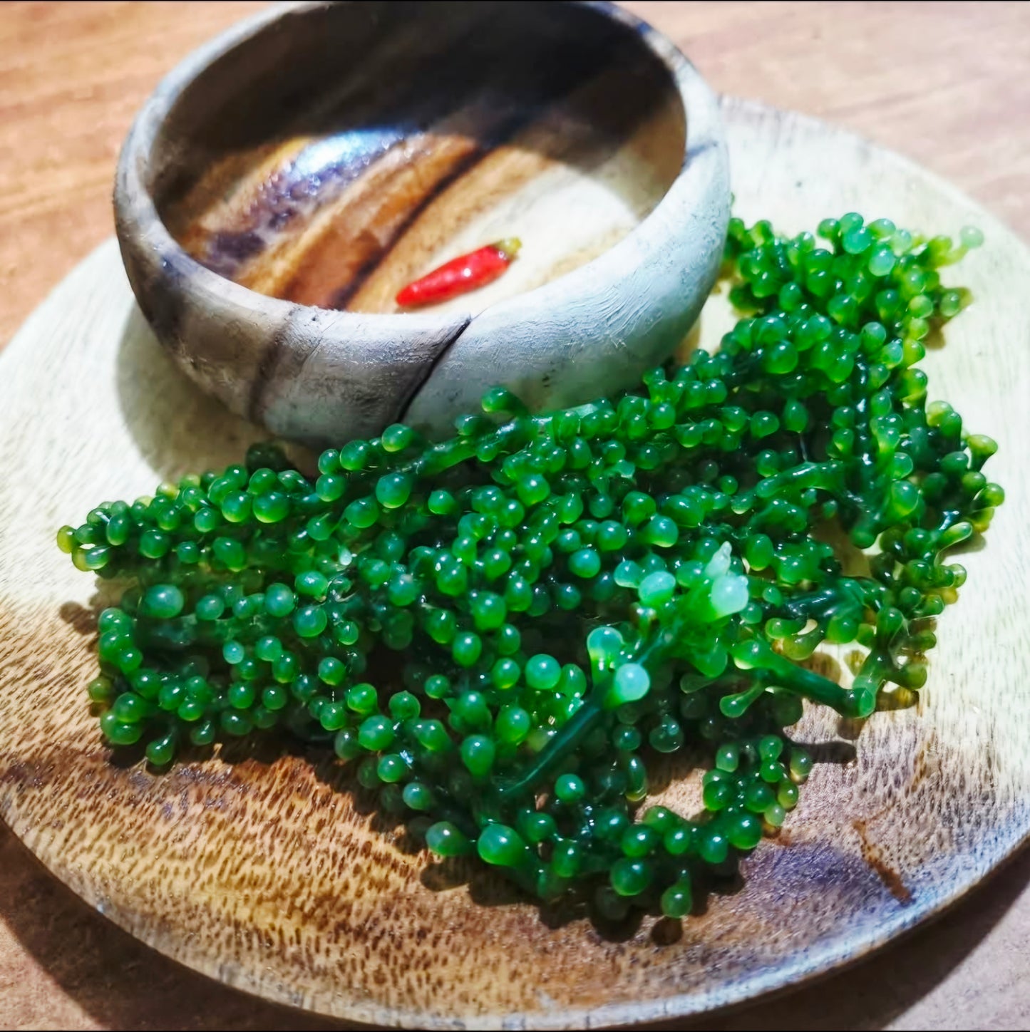 Premium Organic SEAGRAPES / LATO  100g (20-pieces) BULK PACK