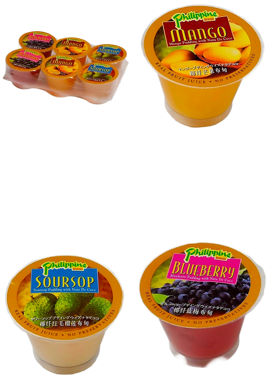 PHILIPPINE BRAND ASSORTED FRUIT PUDDING 100G×6 (MANGO, GUYABANO, BLUEBERRY)