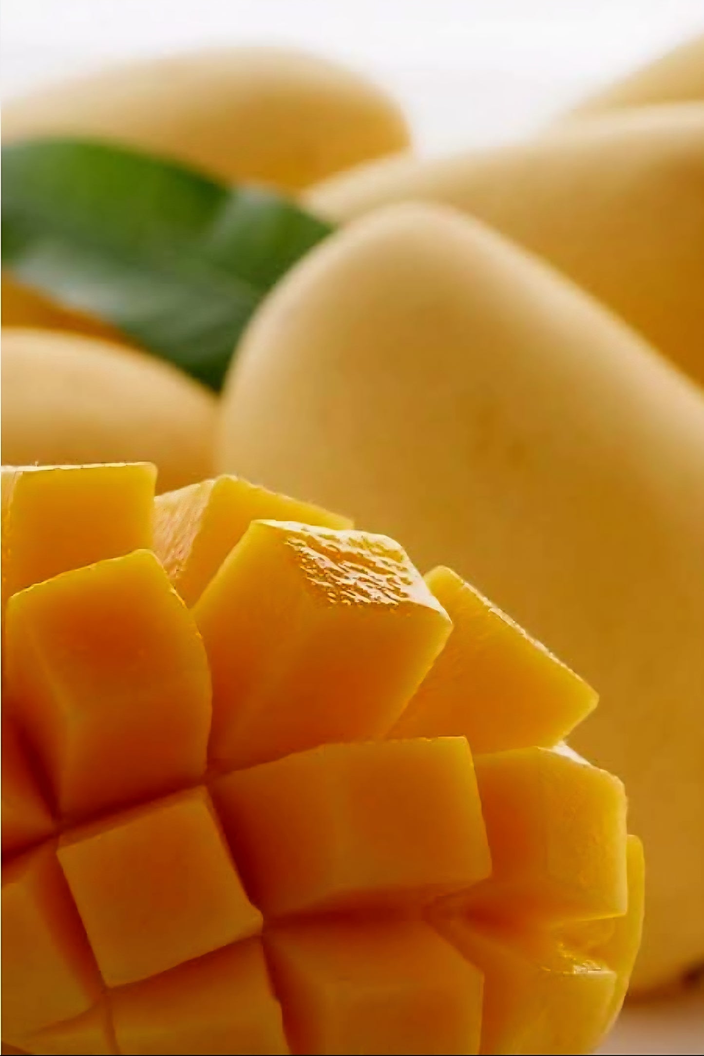 ‼️CLEARANCE‼️Philippines Brand Original Tree Ripened MANGO SLICES in Light Syrup 738g (BIG JAR) BBD: DEC.2025