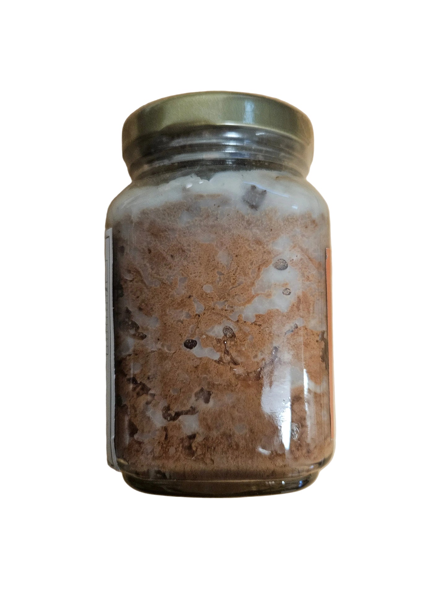 SALLY'S AUTHENTIC BICOL EXPRESS SANTOL 250G