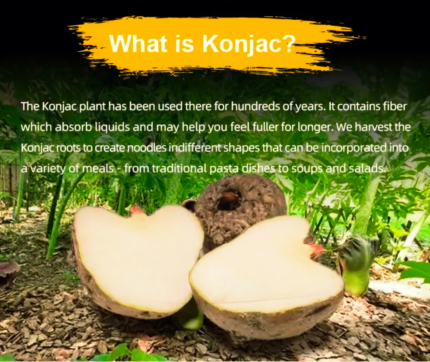 KetoSlim KONJAC SHIRATAKI DRY RICE 200g