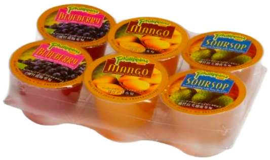 PHILIPPINE BRAND ASSORTED FRUIT PUDDING 100G×6 (MANGO, GUYABANO, BLUEBERRY)