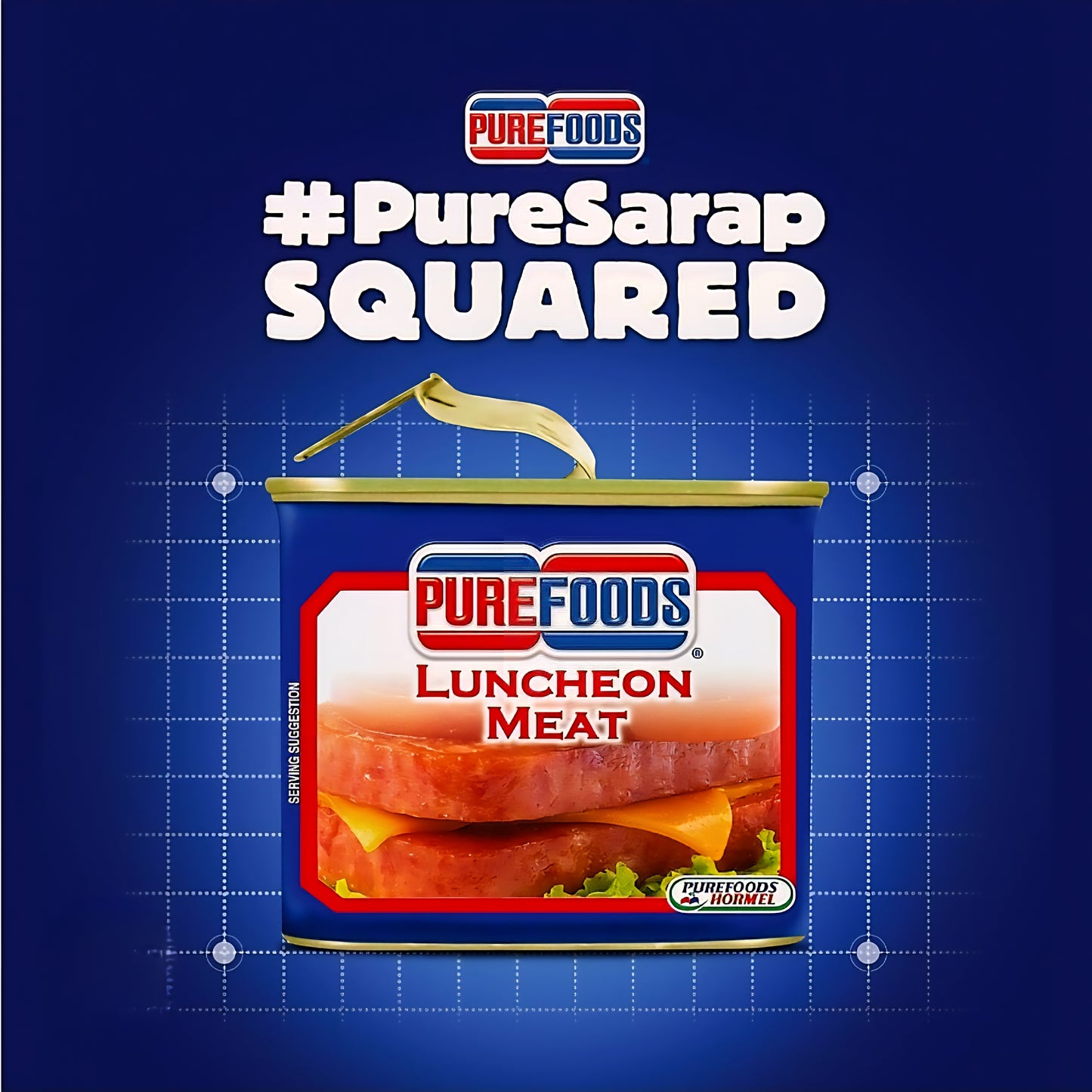 Purefoods LUNCHEON MEAT SQUARE 340g