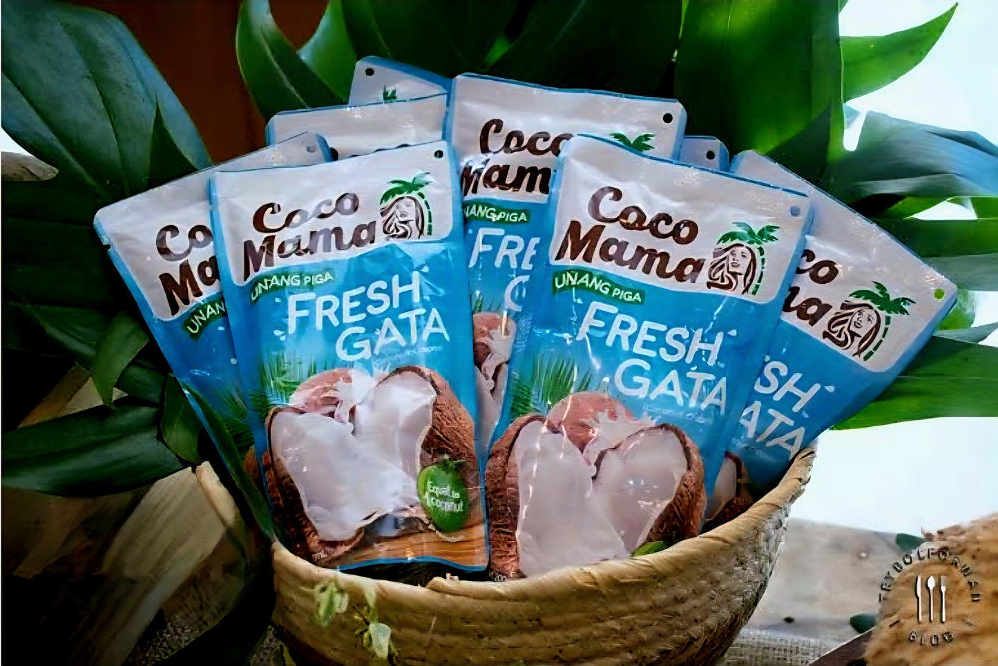 COCO MAMA Fresh Gata 200ml Pouch