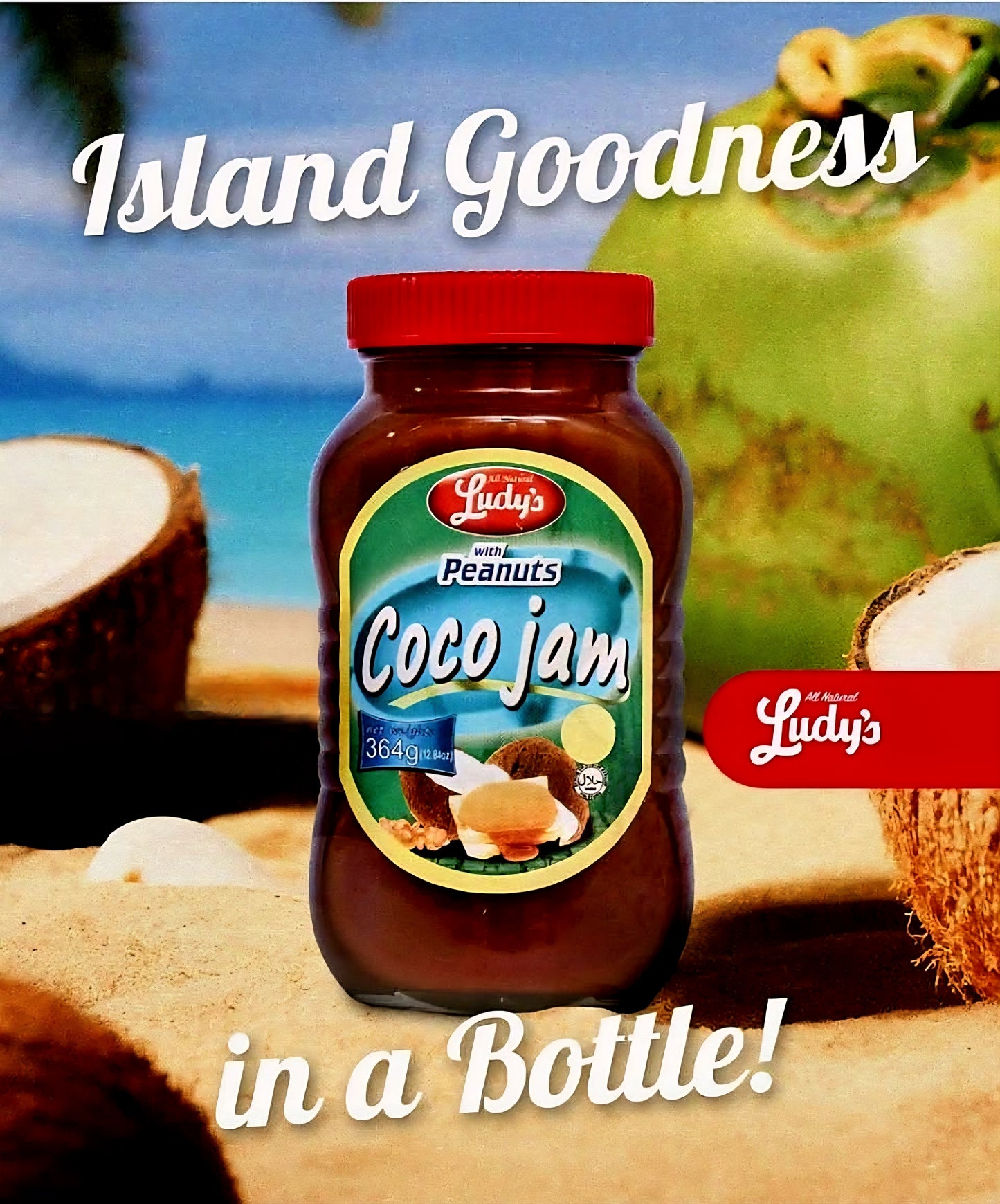 Ludy's COCO JAM Regular 364g