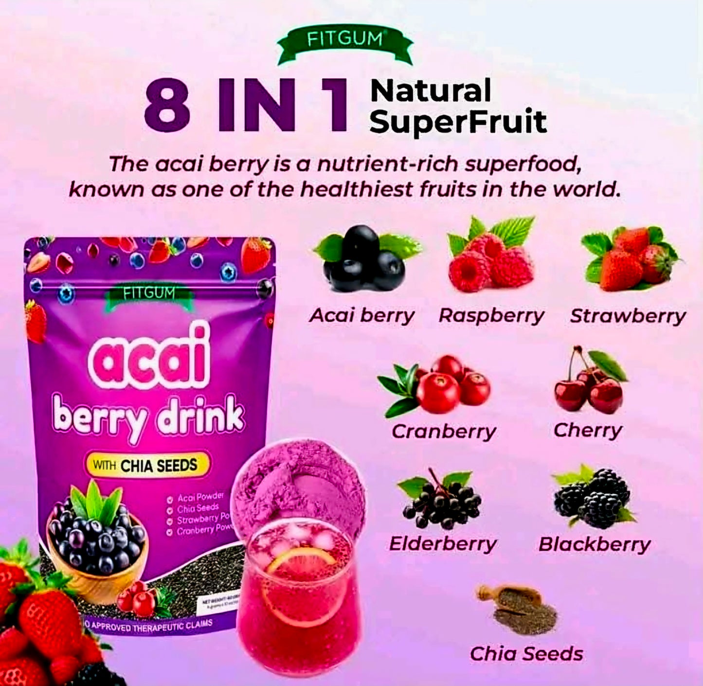 FITGUM ACAI BERRY DRINK W/CHIA 4Gx10
