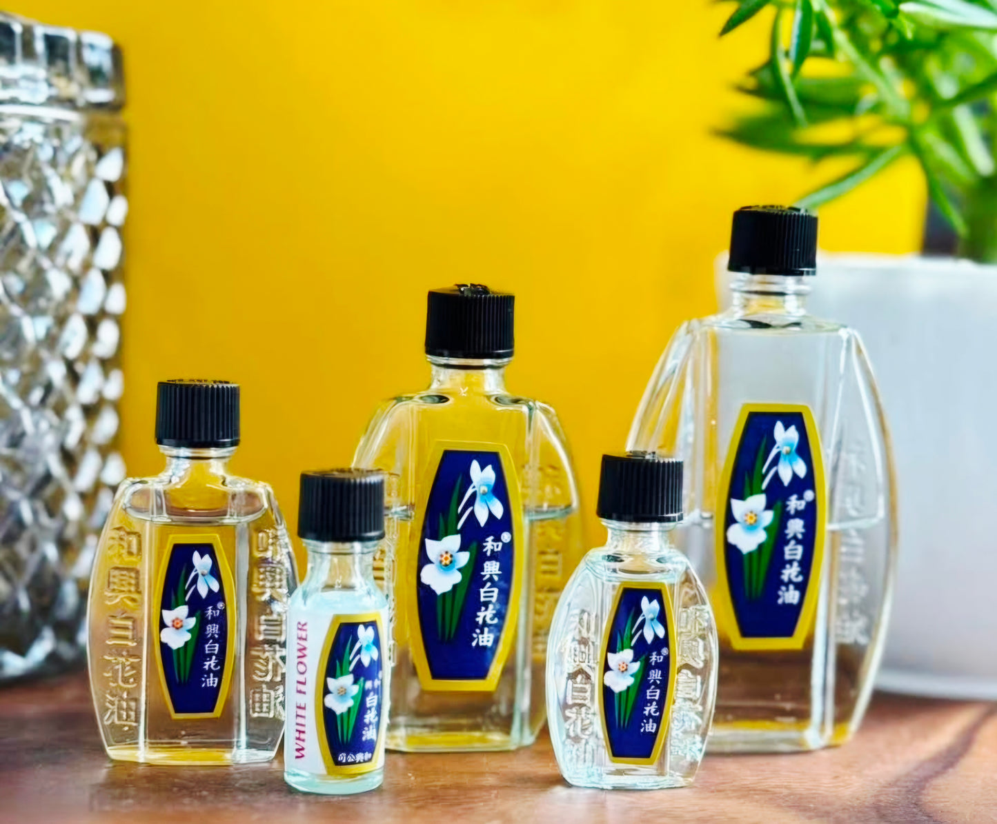 WHITE FLOWER Embrocation External Analgesic Balm Oil 2.5ml POCKETSIZE (NO.4)