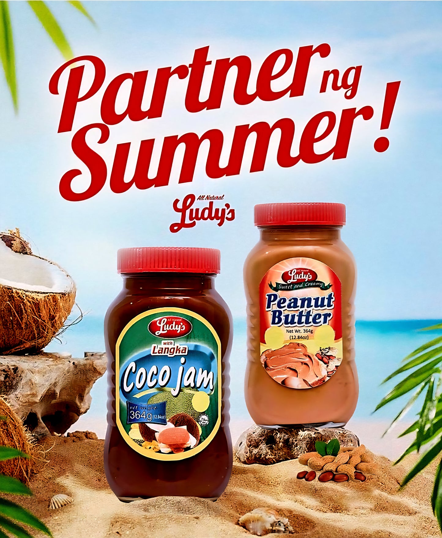 Ludy's COCO JAM Regular 364g